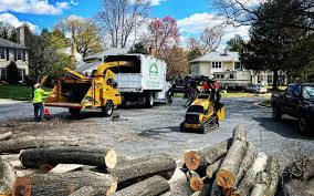 Best Lawn Watering Services  in Franklin Lakes, NJ