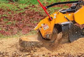 Best Lawn Drainage Solutions  in Franklin Lakes, NJ