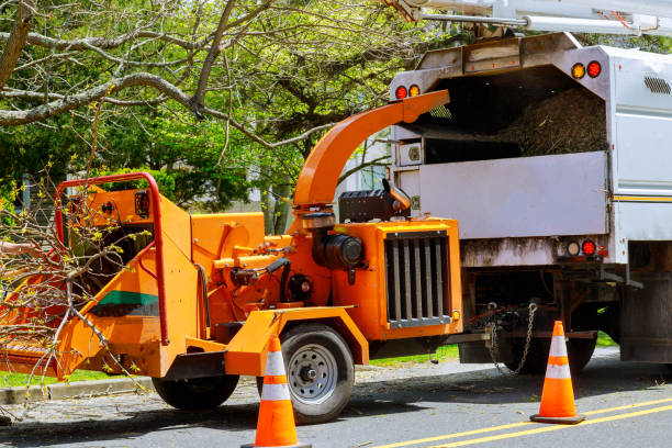 Best Tree Preservation Services  in Franklin Lakes, NJ